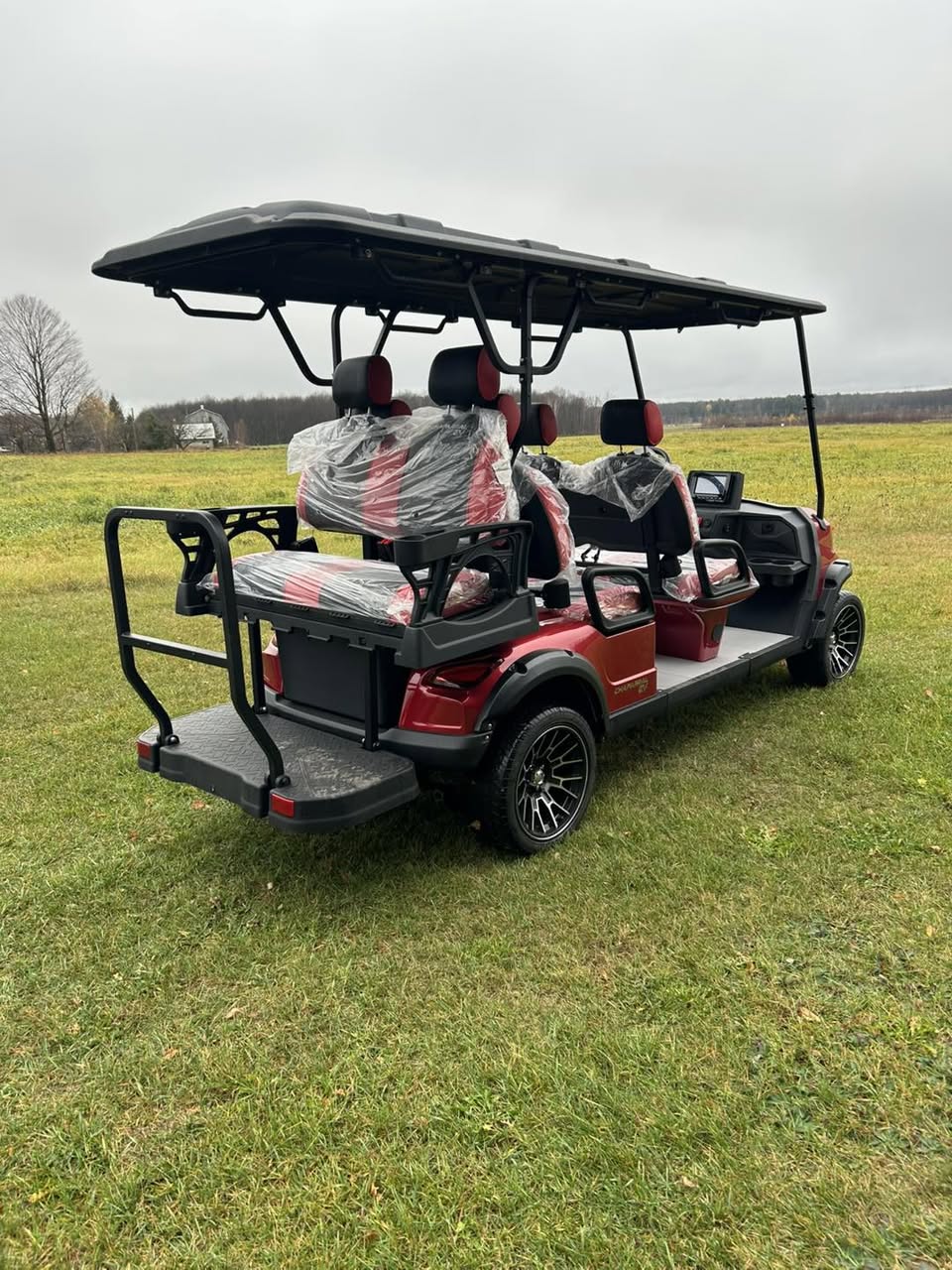 Voiturette neuve ET-C4+2